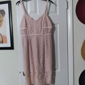 express lace dress